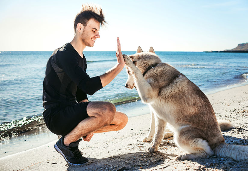 Köpeğinle Yapabileceğin Eğlenceli Spor Aktiviteleri