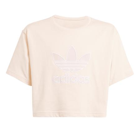adidas Cropped Tee Çocuk T-Shirt Krem