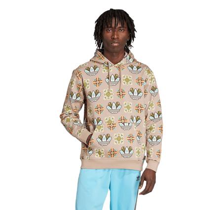 adidas Graphıc Lo Hd Erkek