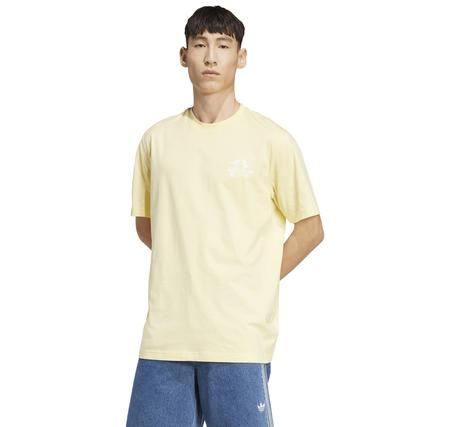 adidas Graphıc Tee Erkek T-Shirt