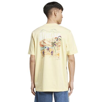 adidas Graphıc Tee Erkek T-Shirt