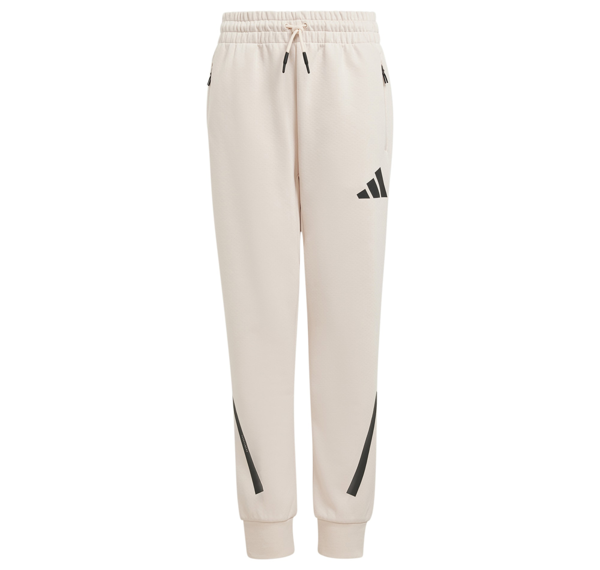 Детские спортивные штаны adidas J Z.n.e. Pt