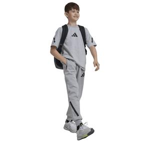 adidas J Z.n.e. Pt Çocuk Eşofman Altı Gri