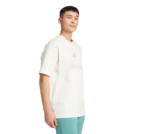 adidas M A Szn G T Erkek T-Shirt