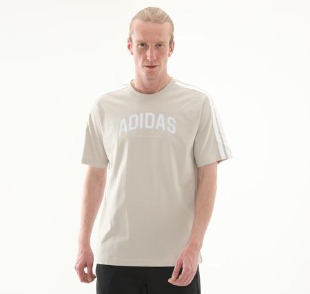 adidas M C Colleg Tee Erkek T-Shirt Bej