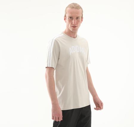 adidas M C Colleg Tee Erkek T-Shirt Bej