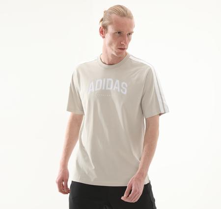 adidas M C Colleg Tee Erkek T-Shirt Bej