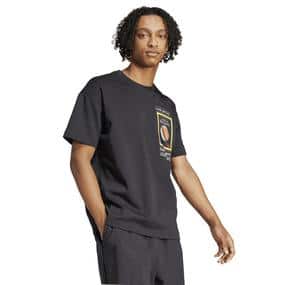 adidas Ng U Ar F Gfx T Erkek T-Shirt Siyah