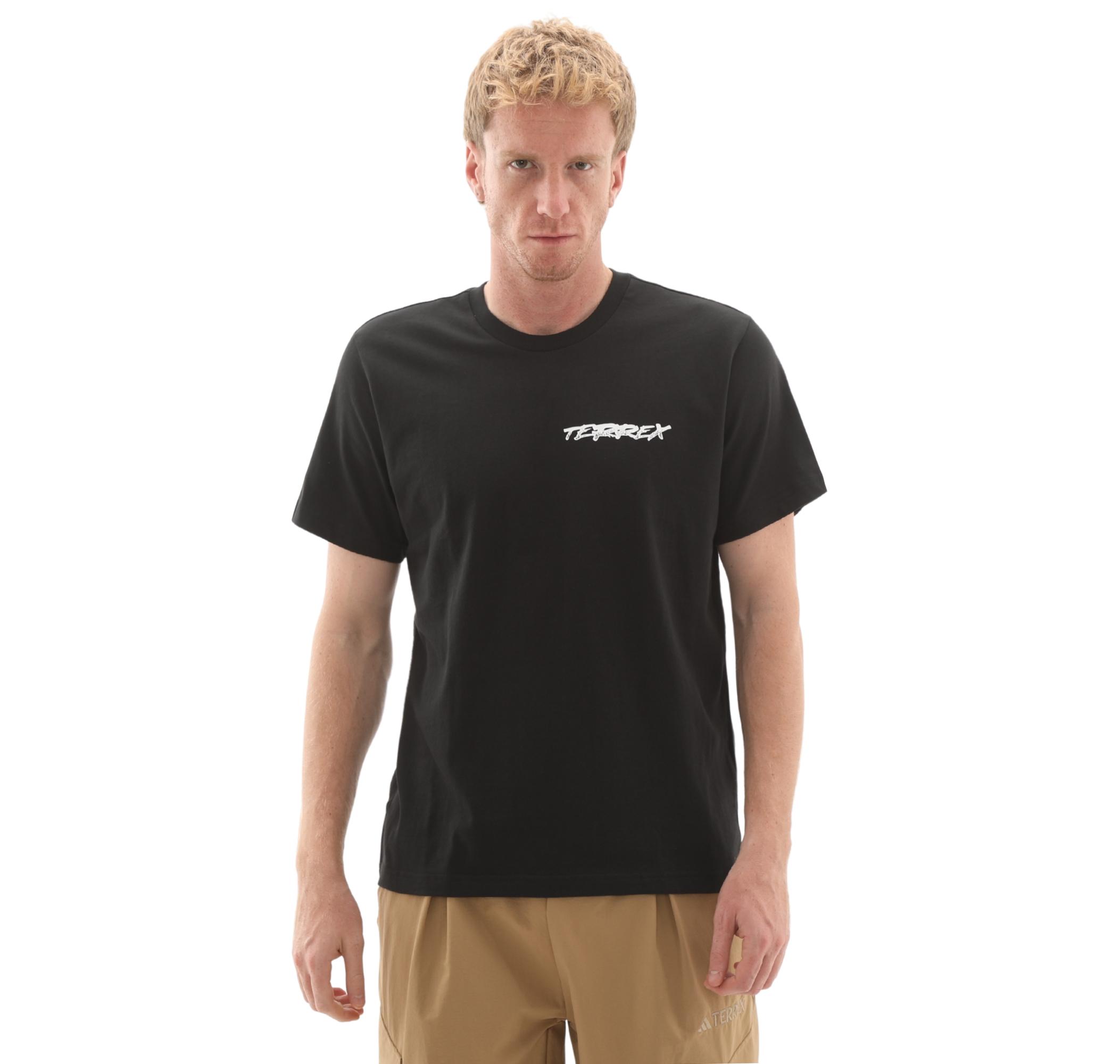 Мужская футболка adidas Terrex U Snow T