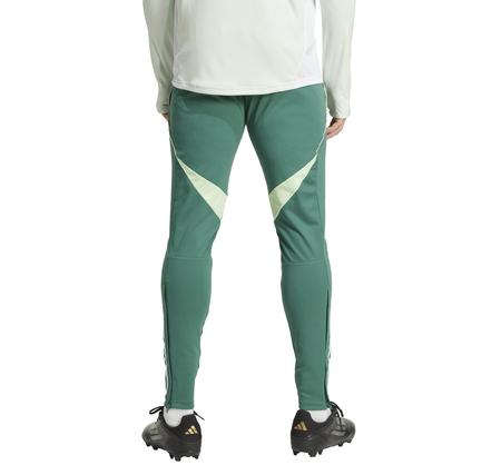 adidas Tıro25C Tr Pnt Erkek Eşofman Altı Yeşil
