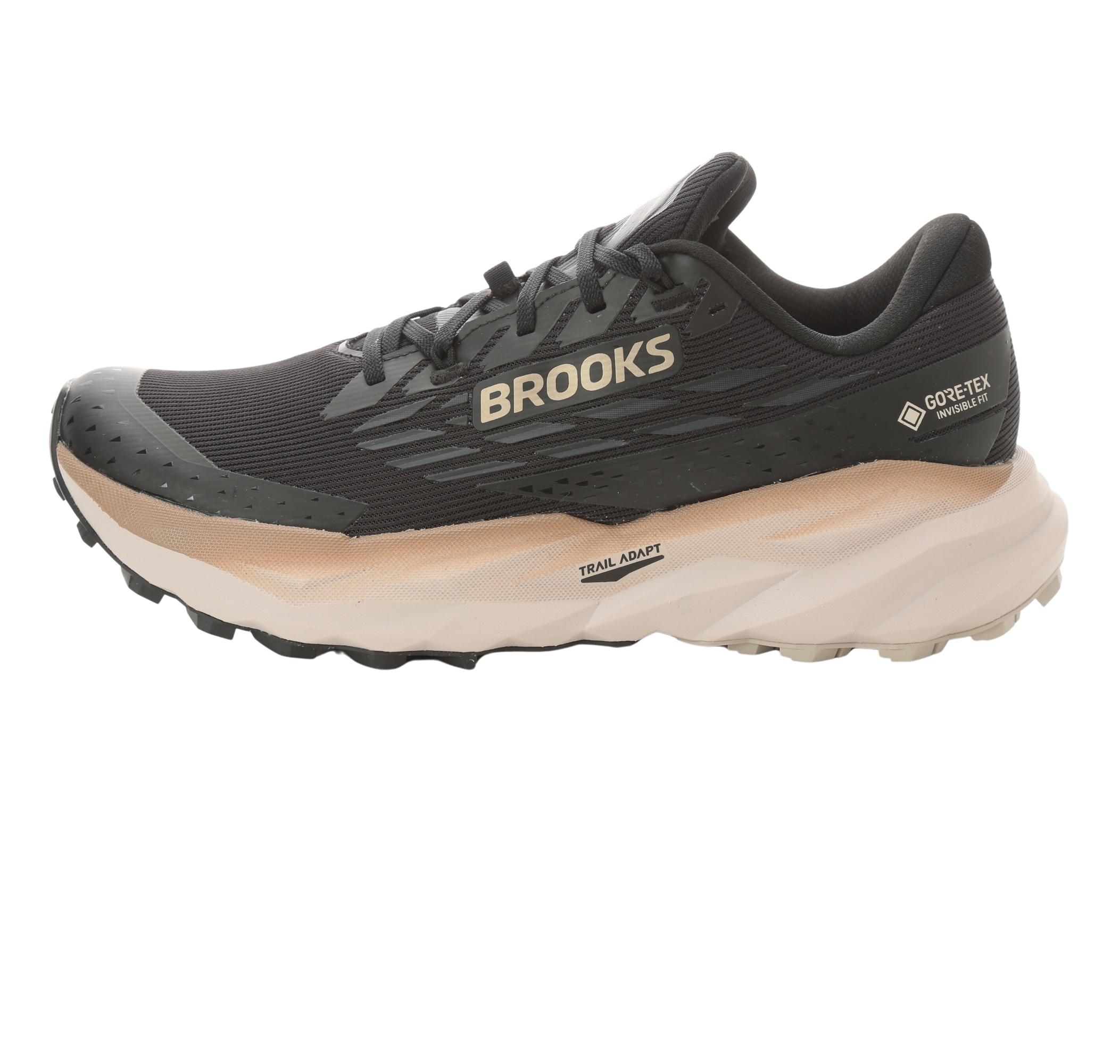 Мужские кроссовки Brooks Cascadia 19 Gtx