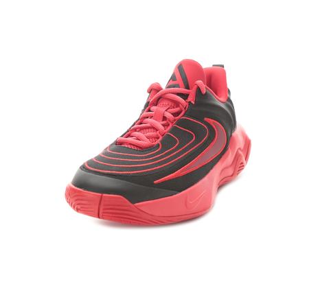 Nike Giannis Immortality 4 Çocuk Spor Ayakkabı Siyah