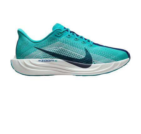 Nike Pegasus Plus Erkek Spor Ayakkabı