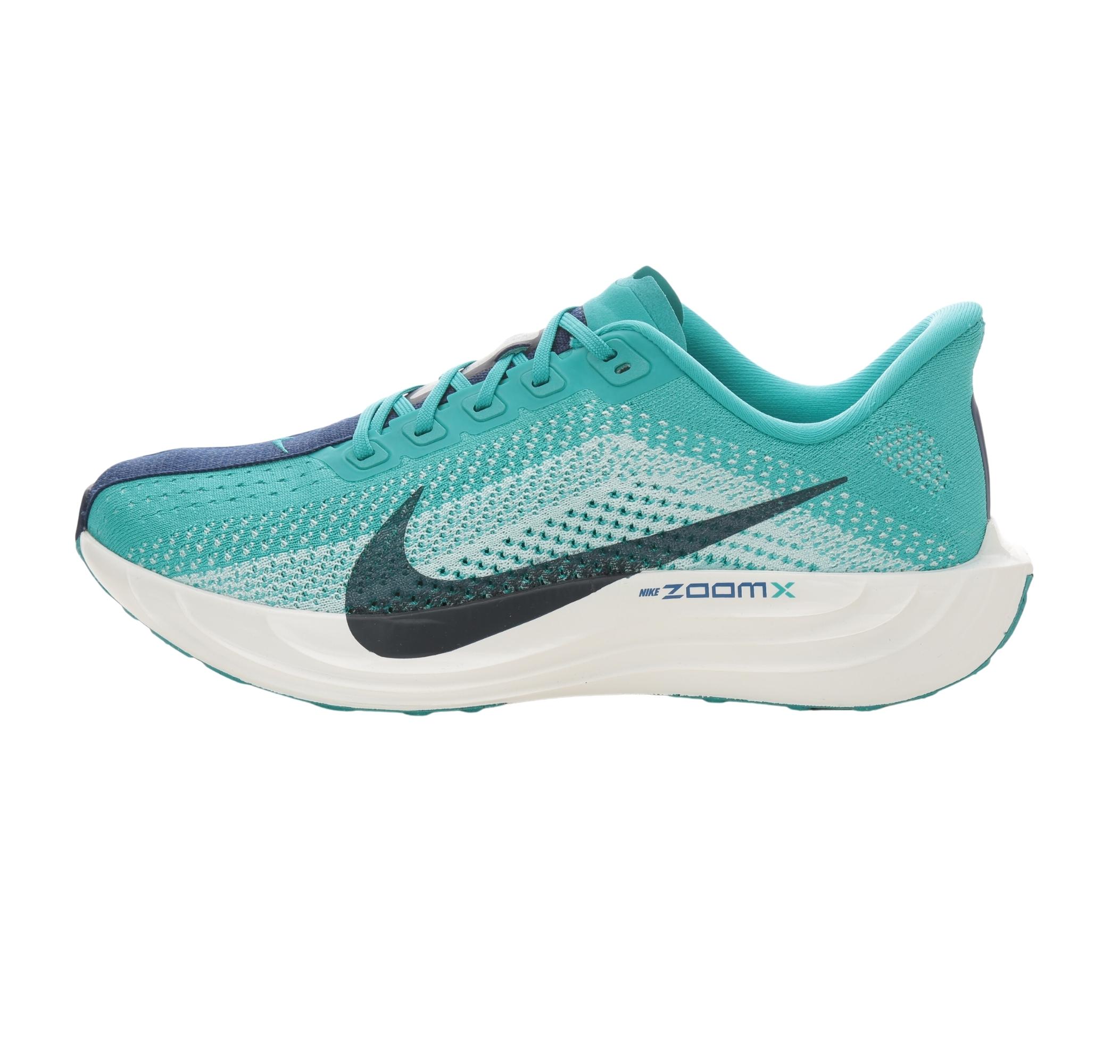 Мужские кроссовки Nike Pegasus Plus