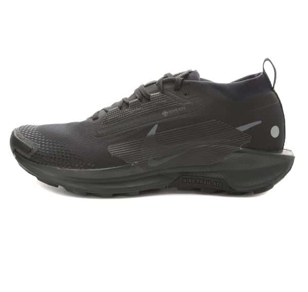 Nike Pegasus Trail 5 Gore-Tex Erkek Spor Ayakkabı Siyah