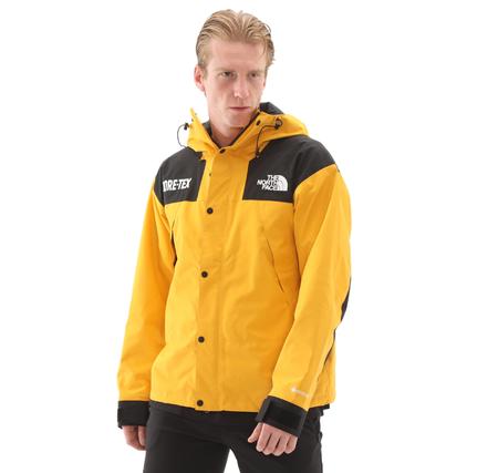 The North Face M Gtx Mountaın Jacket Erkek Mont Sarı