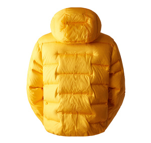 The North Face M Rmst Sıerra Parka Erkek Mont Sarı