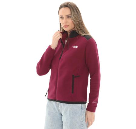 The North Face W Alpıne Polartec 200 F-Z Hooded Jacket Kadın Ceket Mor