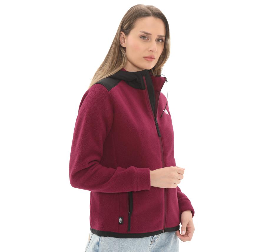 The North Face W Alpıne Polartec 200 F-Z Hooded Jacket Kadın Ceket Mor The North Face W Alpıne Polartec 200 F-Z Hooded Jacket Kadın Ceket Mor