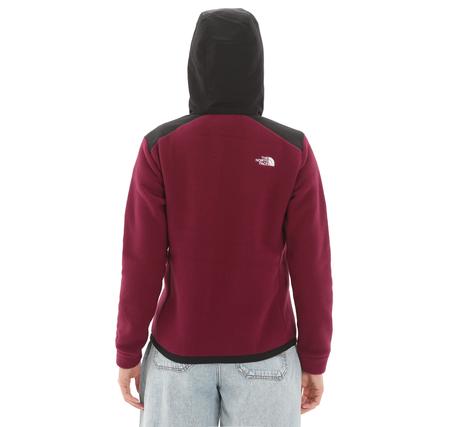 The North Face W Alpıne Polartec 200 F-Z Hooded Jacket Kadın Ceket Mor