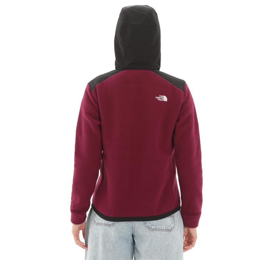 The North Face W Alpıne Polartec 200 F-Z Hooded Jacket Kadın Ceket Mor The North Face W Alpıne Polartec 200 F-Z Hooded Jacket Kadın Ceket Mor
