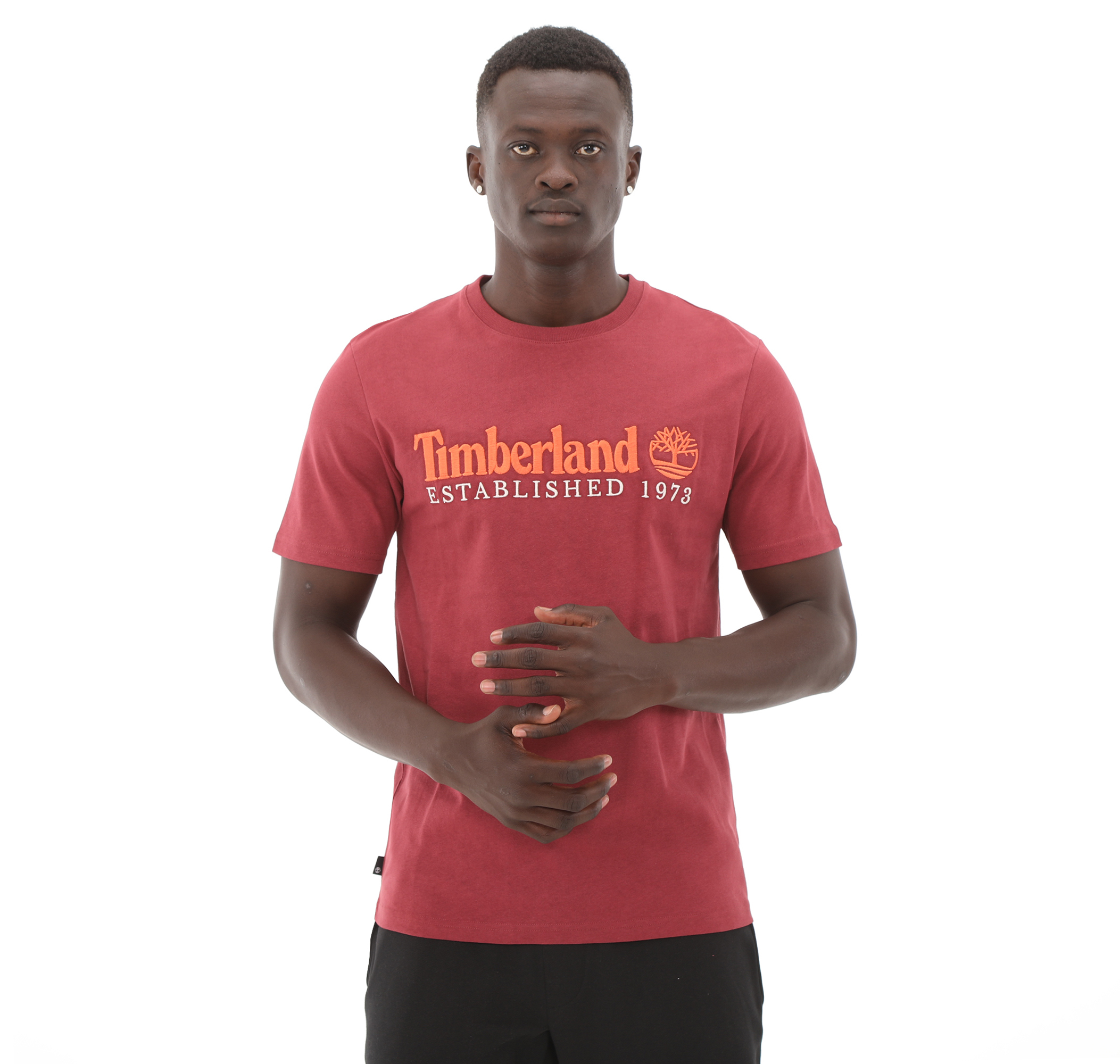 Мужская футболка Timberland Established 1973 Embroidery Logo Tee