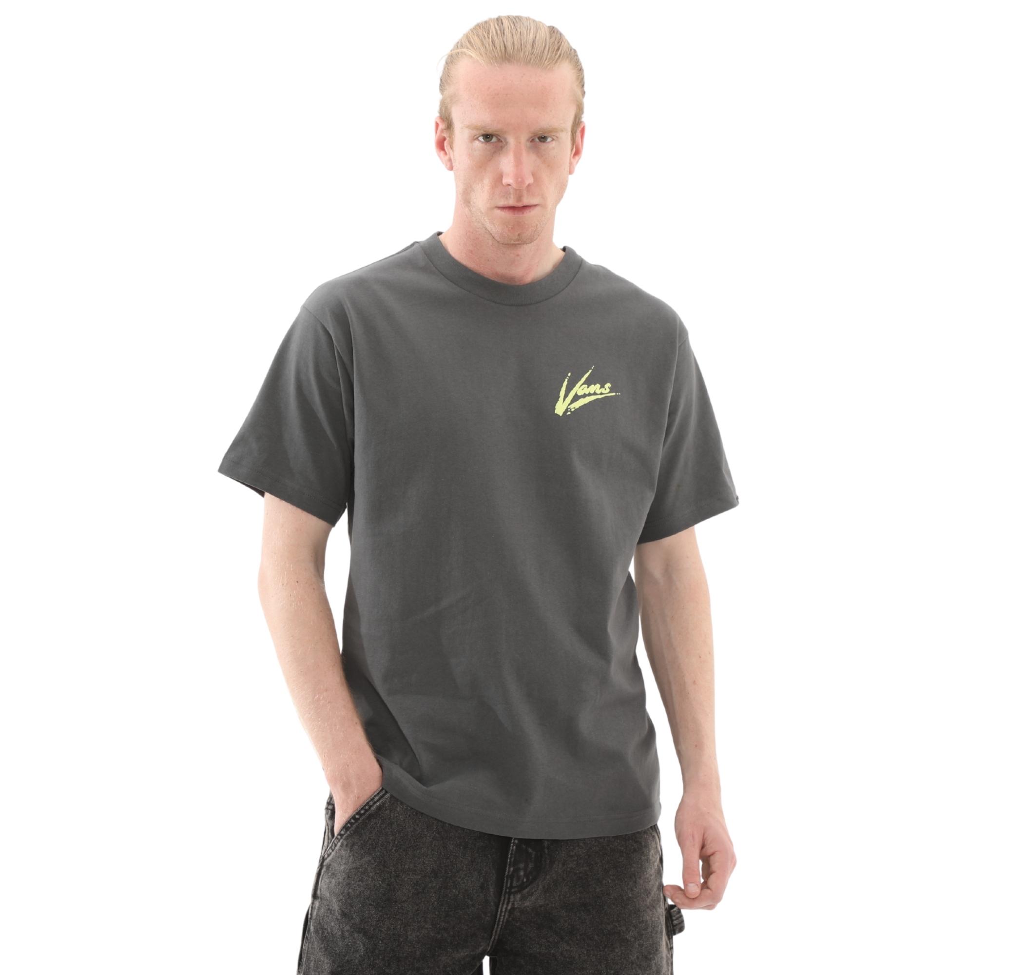 Мужская футболка Vans Brush Script Loose Ss