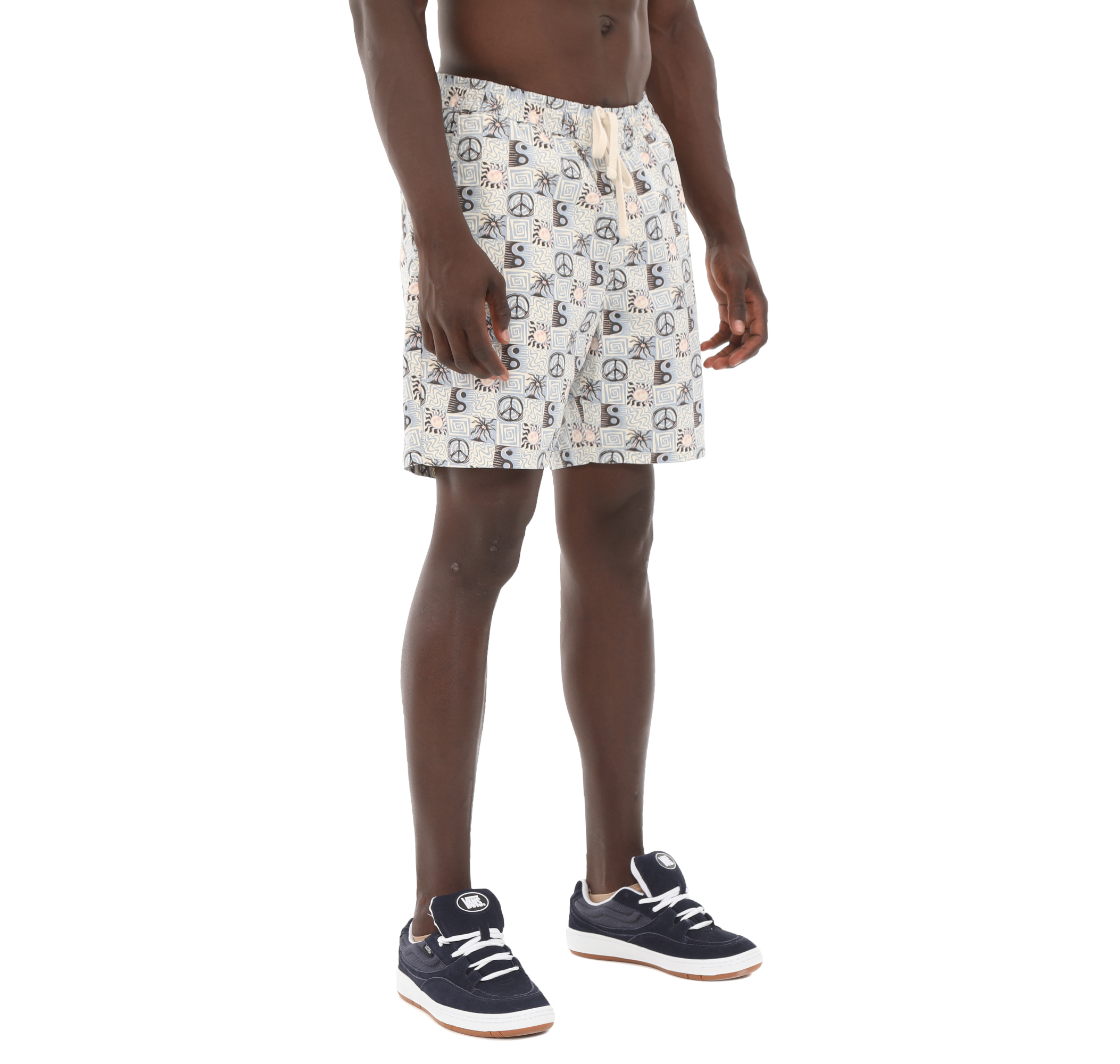 Мужские шорты Vans Mn Range Relaxed Elastic Short Kapri Açik