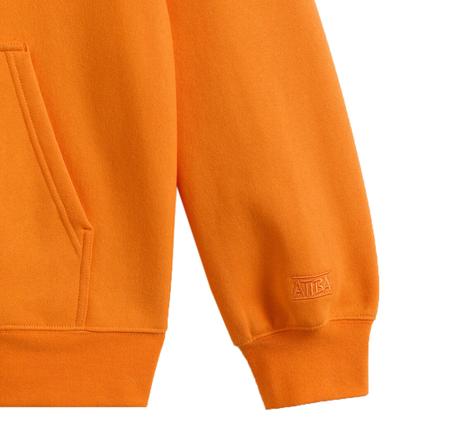 Vans Skate Atiba Haze Zip Erkek