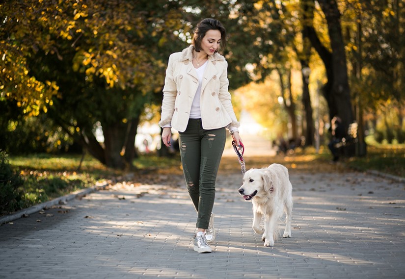 4 Ekim Hayvanları Koruma Günü: Patili Dostlarınızla Yaşamanın ve Spor Yapmanın Keyfi 4 Ekim Hayvanları Koruma Günü: Patili Dostlarınızla Yaşamanın ve Spor Yapmanın Keyfi