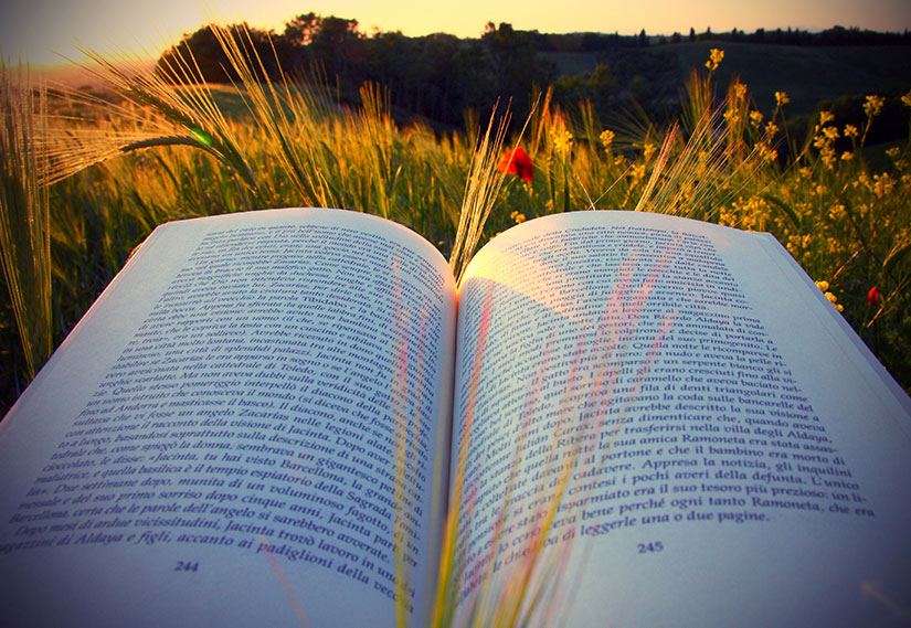 Spor Dünyasının İçinden 7 Kitap Spor Dünyasının İçinden 7 Kitap