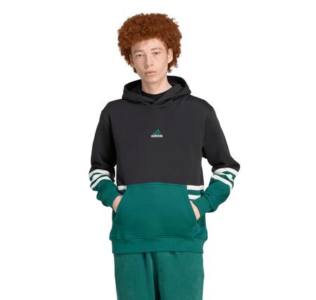 adidas Archıve Hoodıe Erkek Sweatshirt