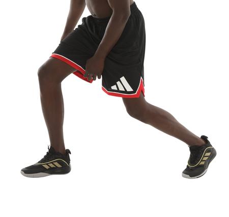 adidas Bos Short Erkek Şort Ve Kapri Siyah