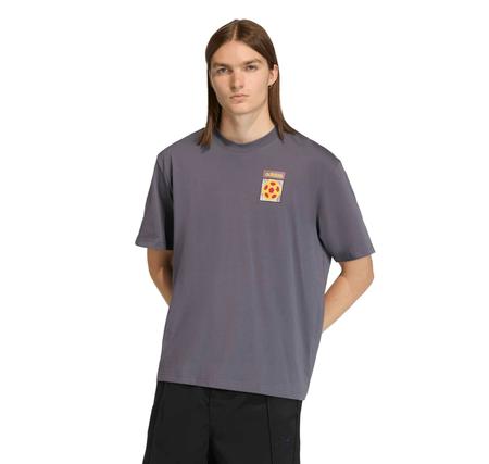 adidas Flag Gfx Ss T Erkek T-Shirt Gri