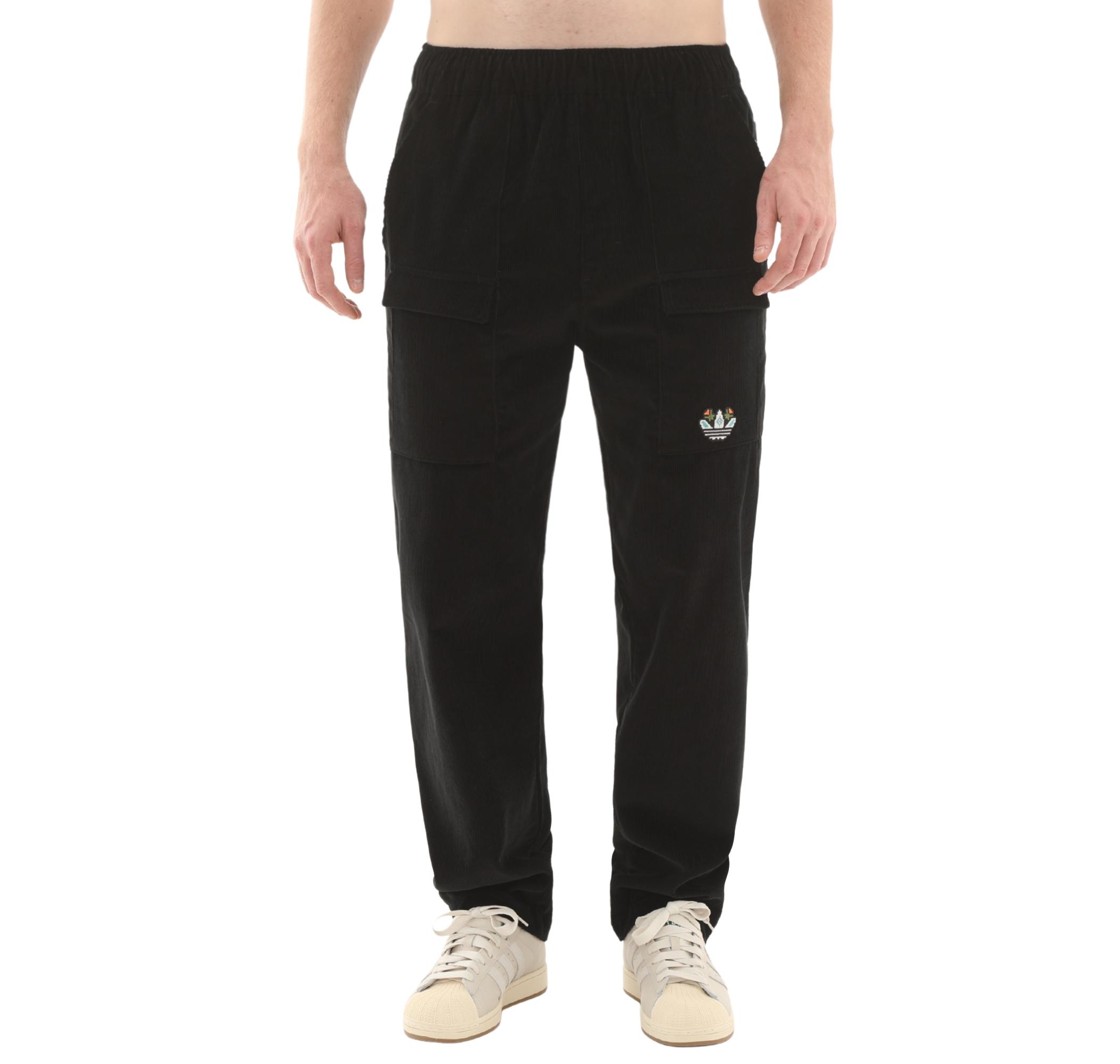 Мужские брюки adidas Graphic Reg Pt Pantolon