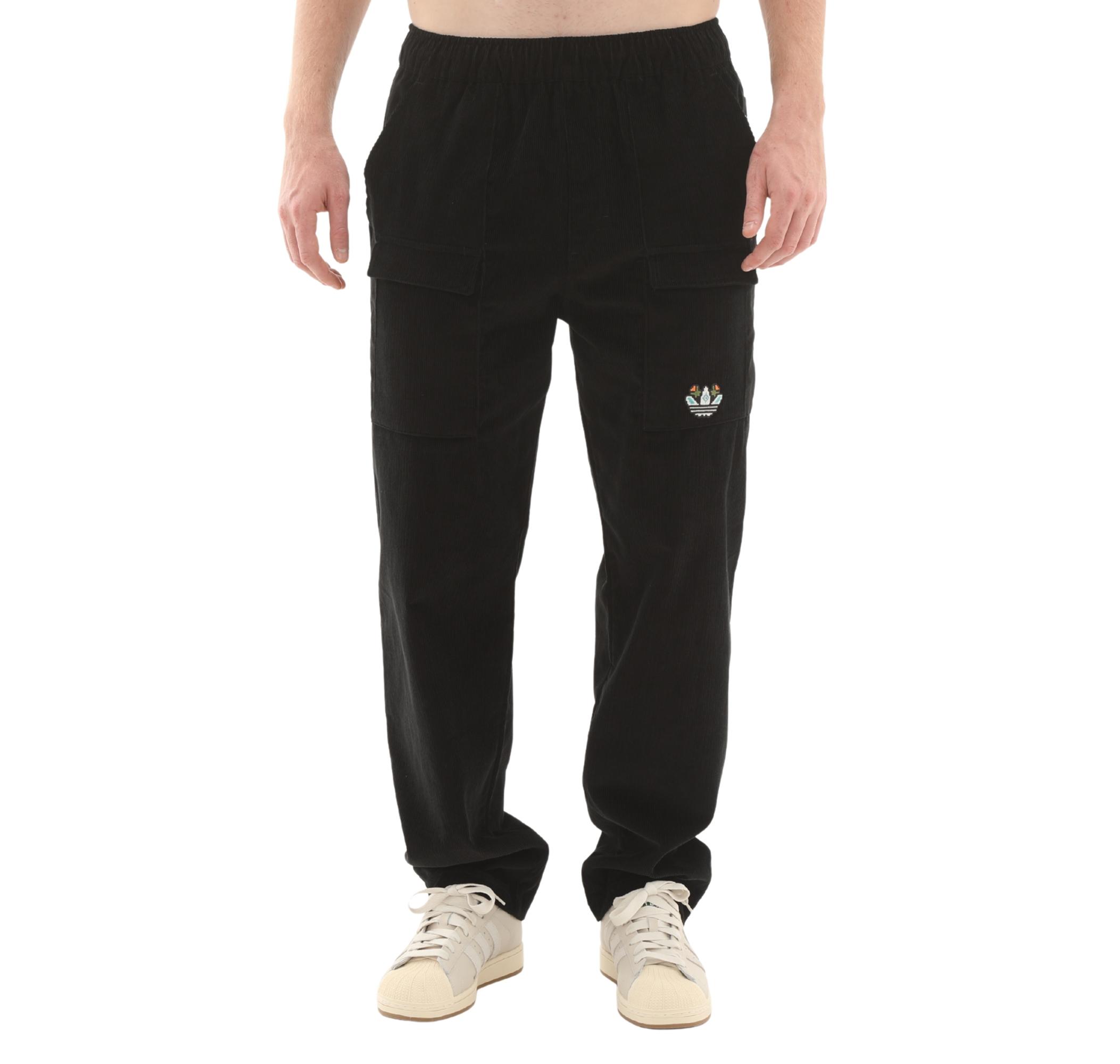 Мужские брюки adidas Graphic Reg Pt Pantolon