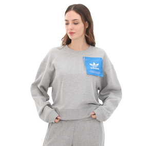adidas Ksenıa Tag Swt Kadın Sweatshirt Gri