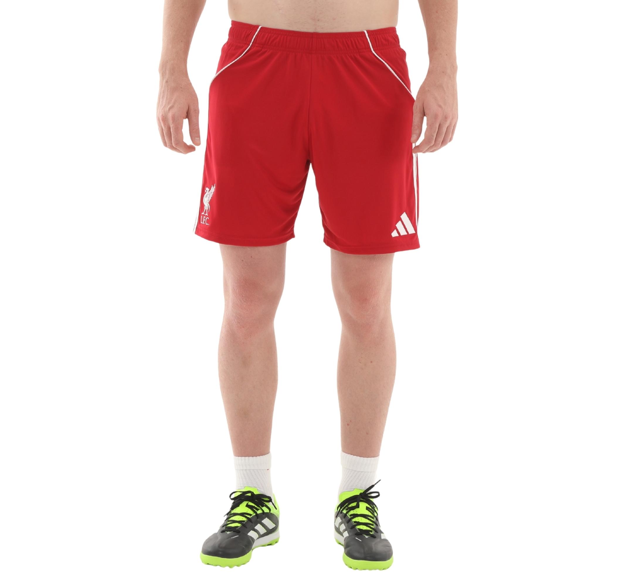 Мужские шорты adidas Lfc Liverpool Fc 25-26 İç Saha Kapri