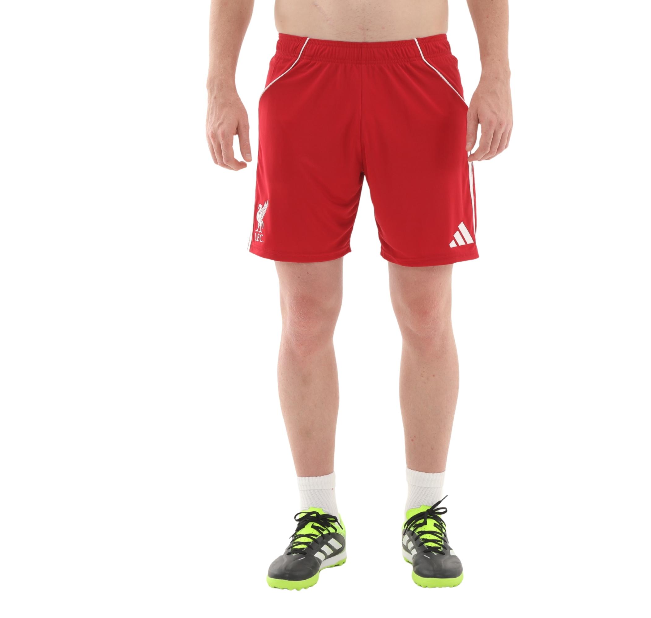 Мужские шорты adidas Lfc Liverpool Fc 25-26 İç Saha Kapri
