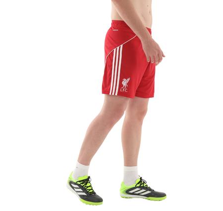 adidas Lfc Liverpool Fc 25-26 İç Saha Erkek Şort Ve Kapri Bordo
