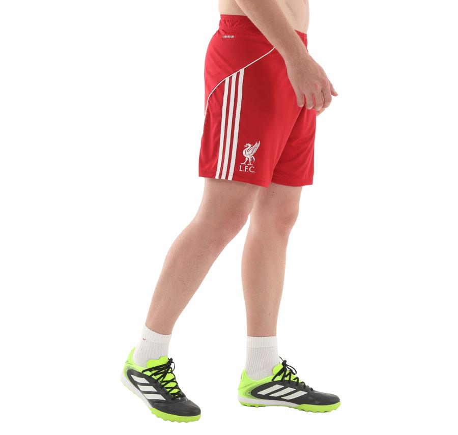 adidas Lfc Liverpool Fc 25-26 İç Saha Erkek Şort Ve Kapri Bordo adidas Lfc Liverpool Fc 25-26 İç Saha Erkek Şort Ve Kapri Bordo