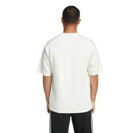 adidas M Anı Pop Ply T Erkek T-Shirt adidas M Anı Pop Ply T Erkek T-Shirt