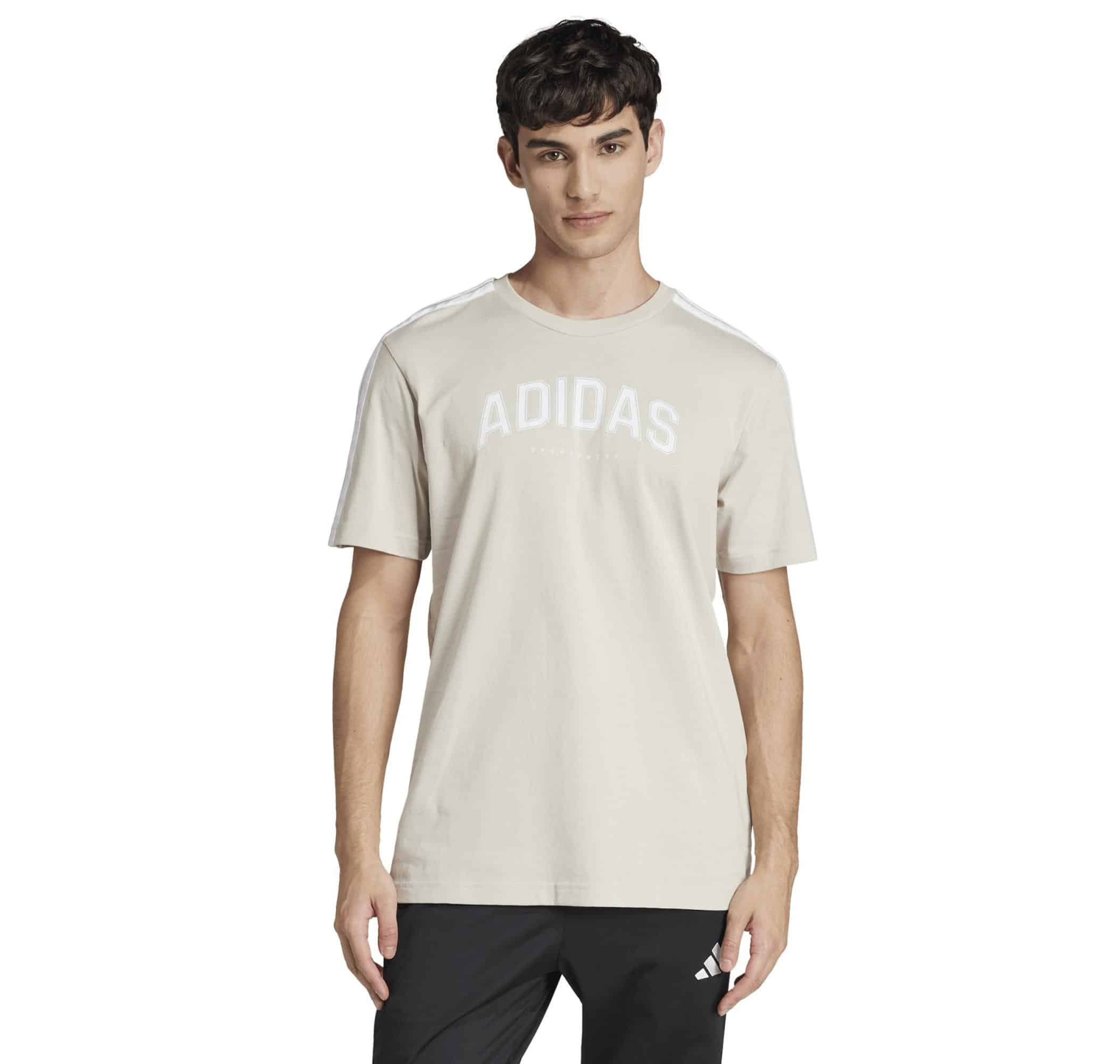 Мужская футболка adidas M C Colleg Tee