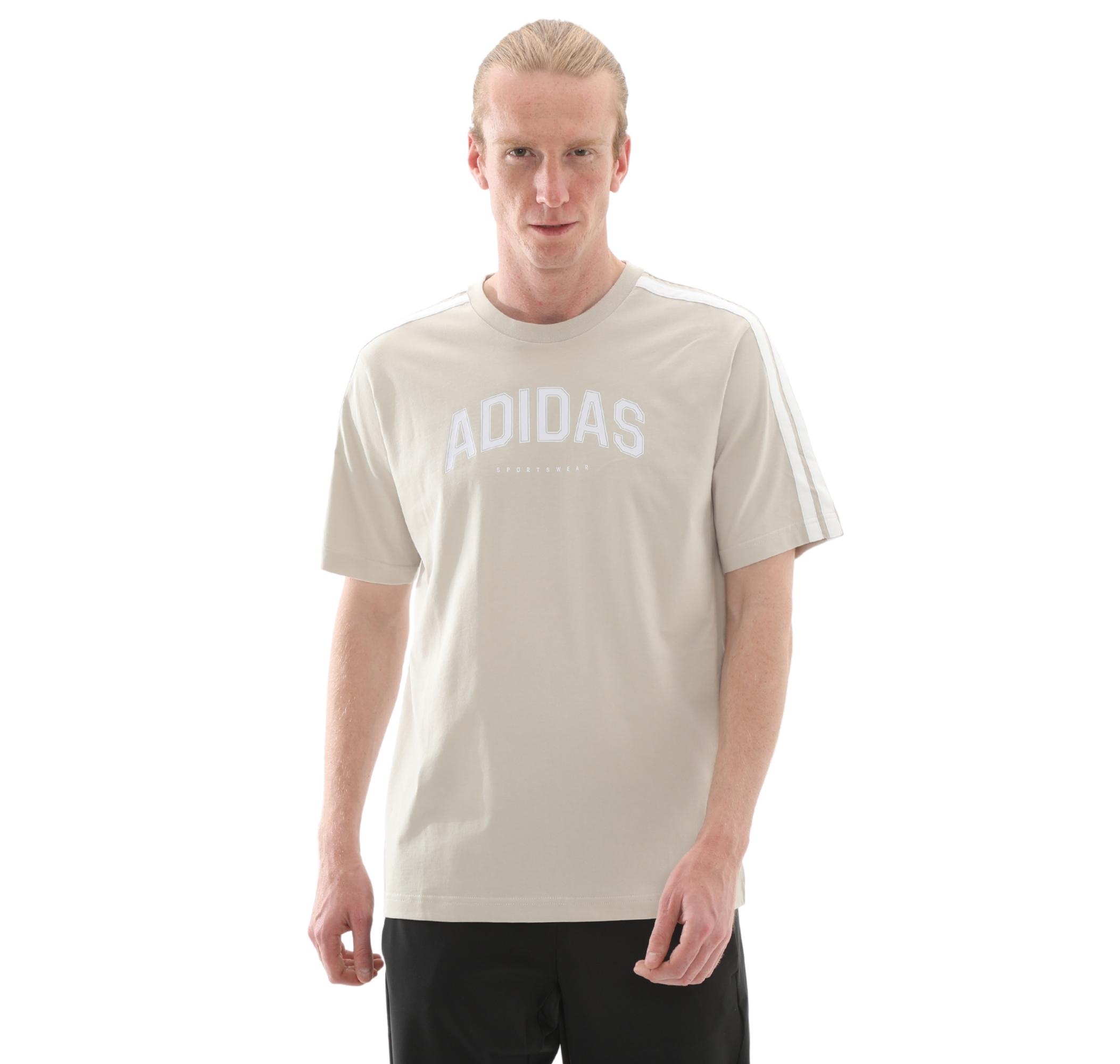 Мужская футболка adidas M C Colleg Tee