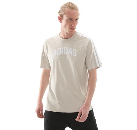 adidas M C Colleg Tee Erkek T-Shirt Bej