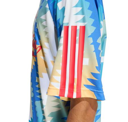 adidas House Of Tiro X Common Goal Erkek T-Shirt Mavi