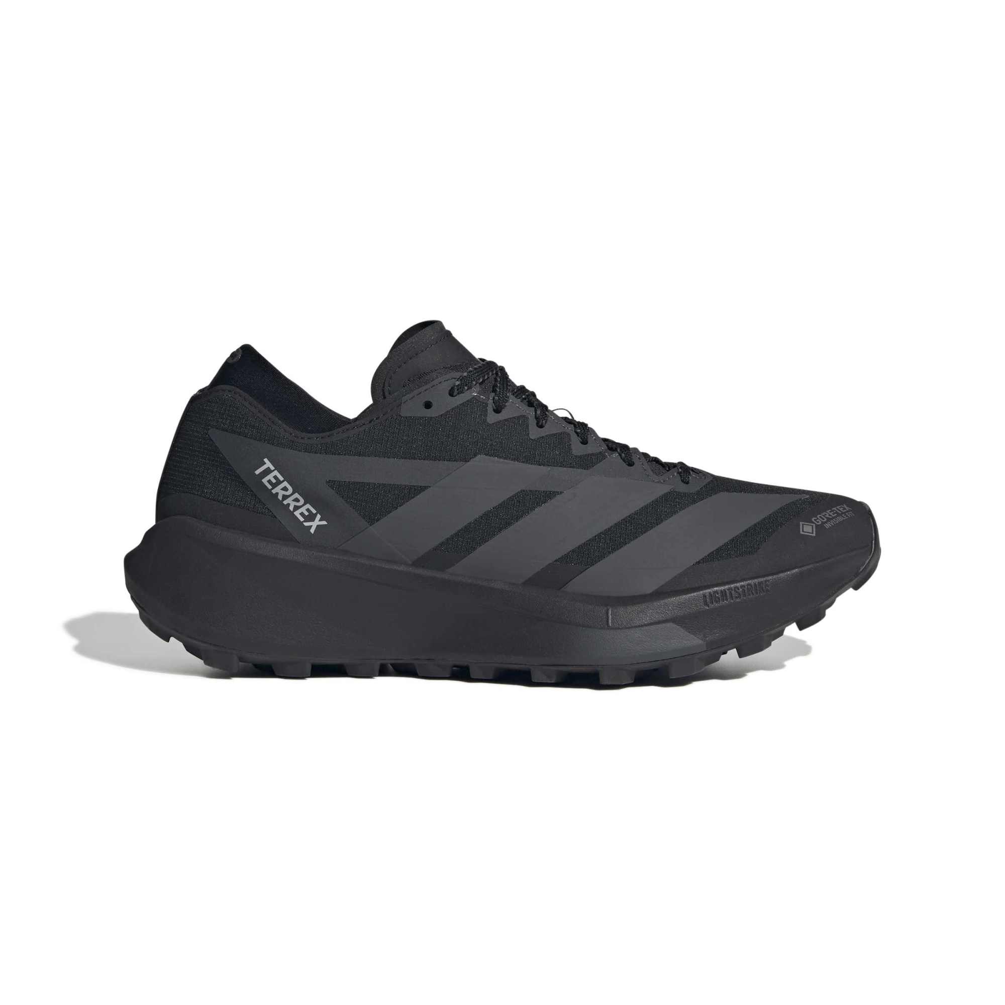 Мужские кроссовки adidas Terrex Agravic Gtx 2