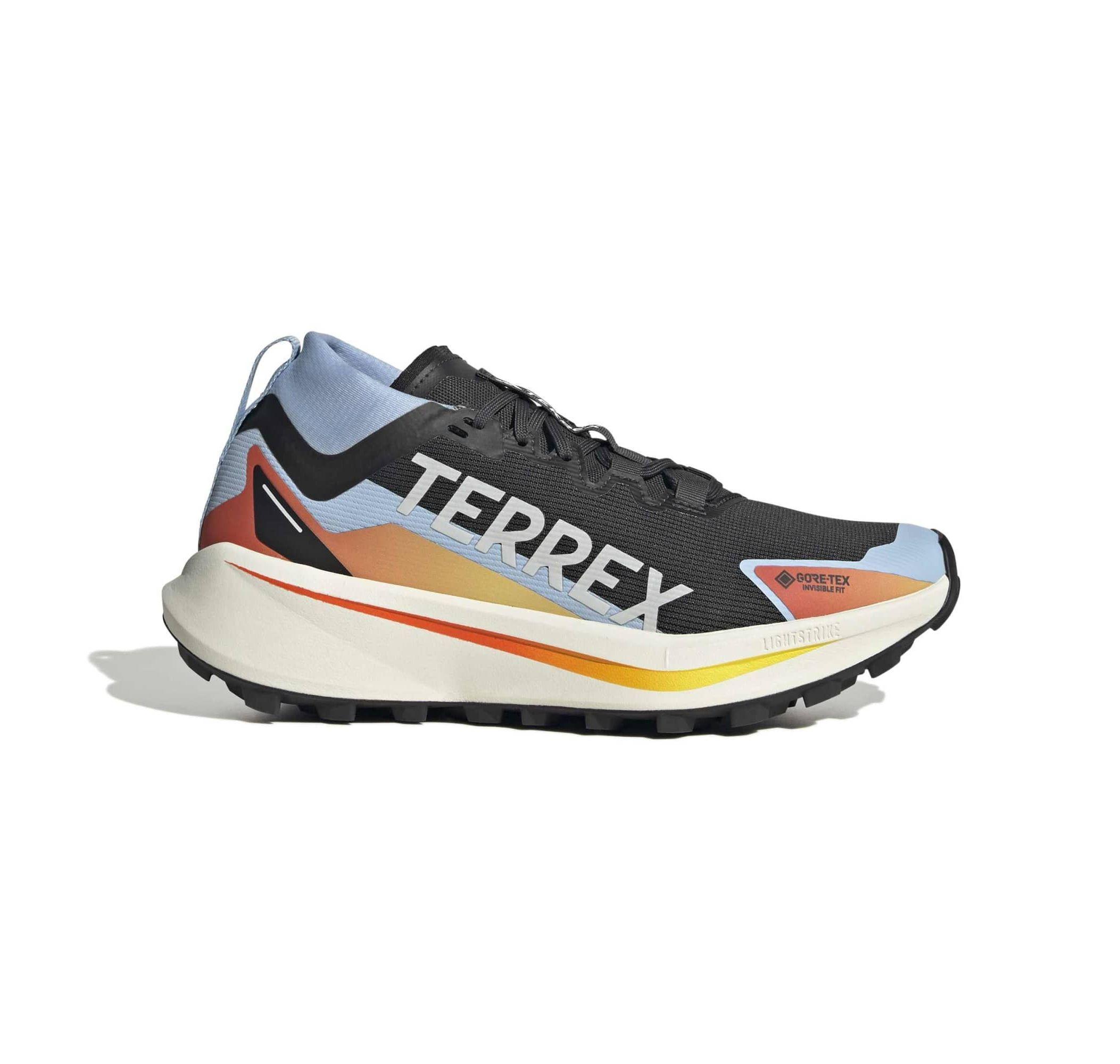 Женские кроссовки adidas Terrex Agravic Gtx W