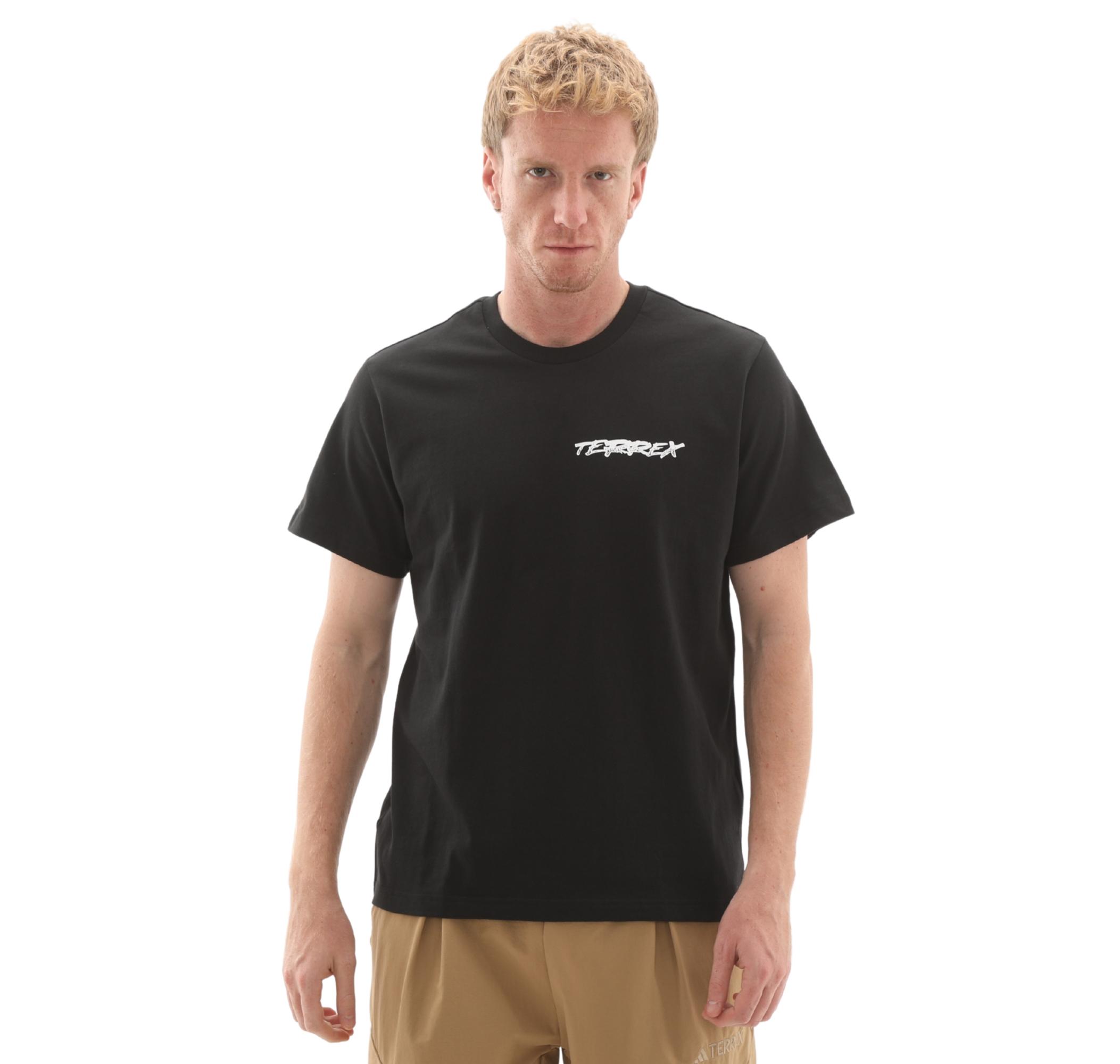 Мужская футболка adidas Terrex U Snow T