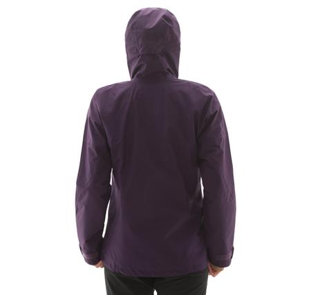 adidas Terrex Xperior 2L Gore-Tex Kadın Mont Mor